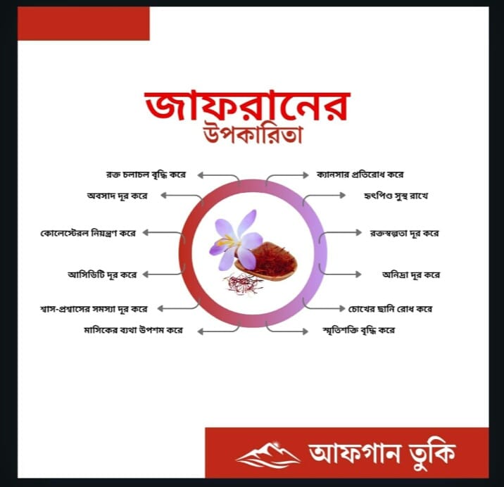 554707083_1937065676835655_3371654631429601325_n